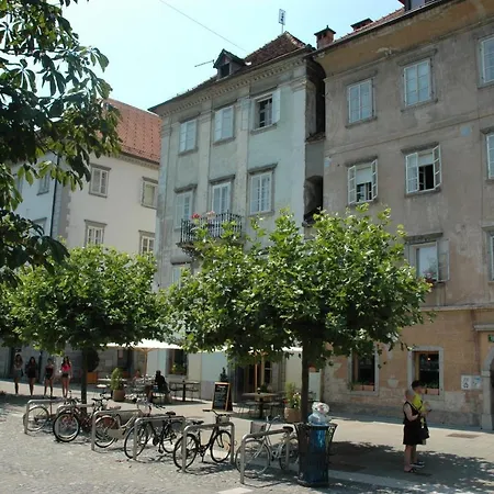 Vitez I Ljubljana