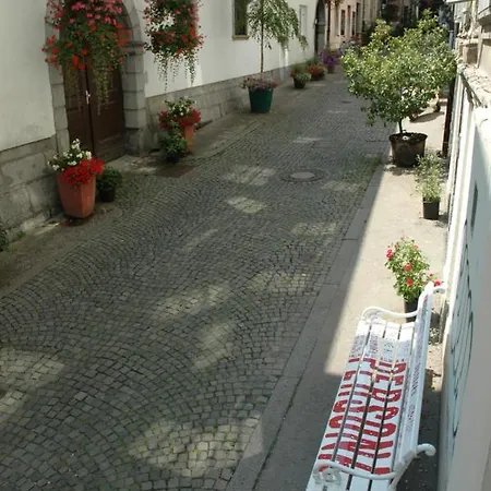 Vitez I Ljubljana