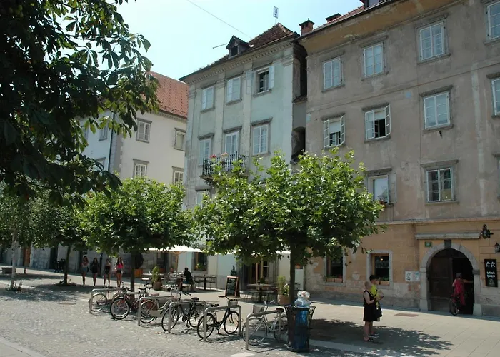 Vitez I リュブリャナ