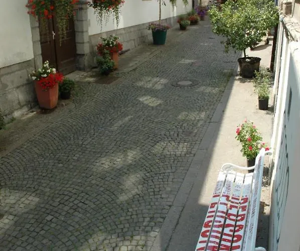 Vitez I リュブリャナ